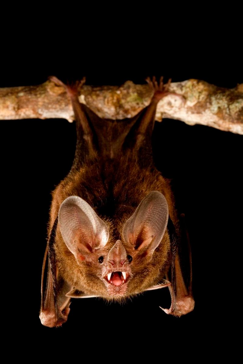 1r31_mm7355_060825_10334