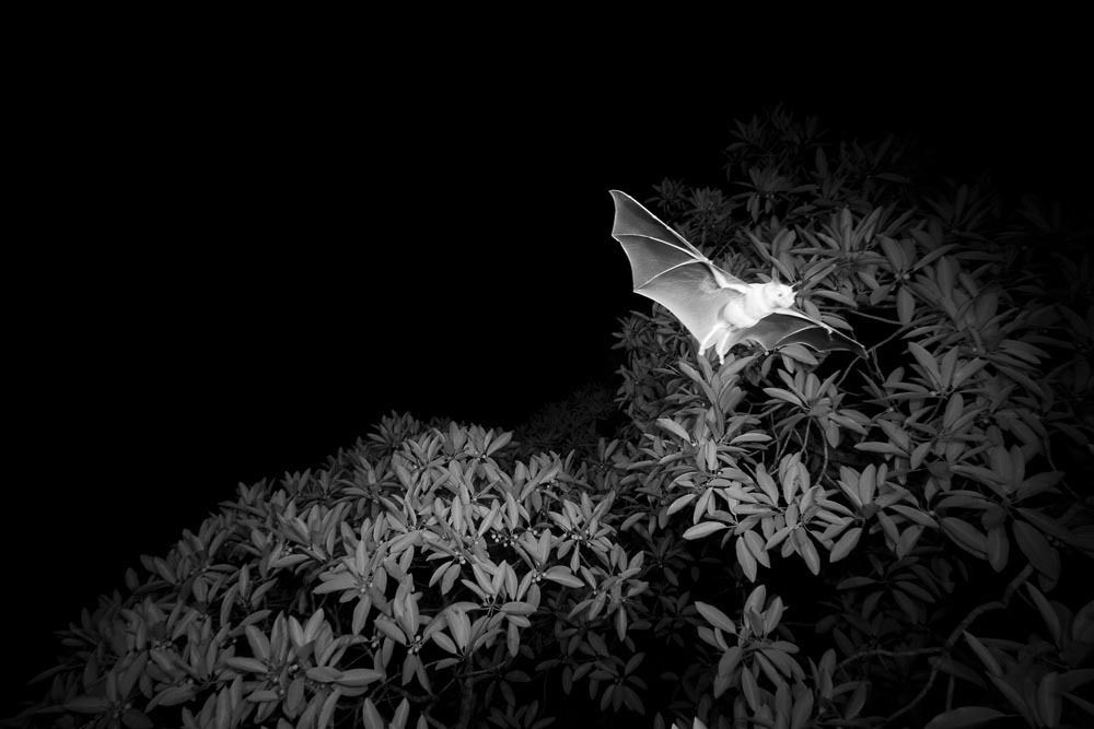 107_mm7355_060314_4689