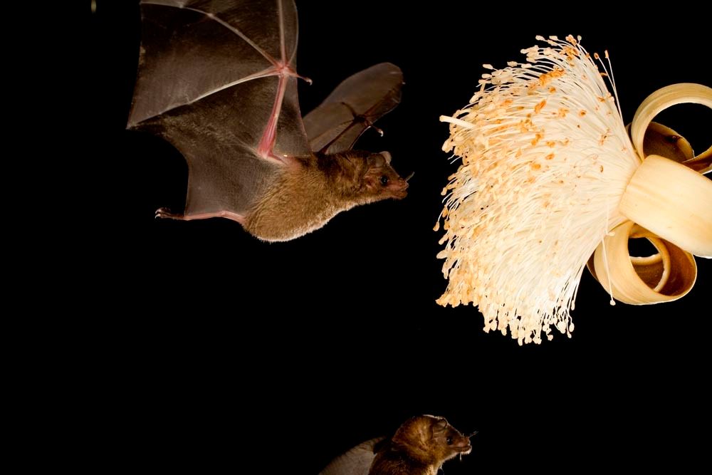 108_mm7355_060323_6317