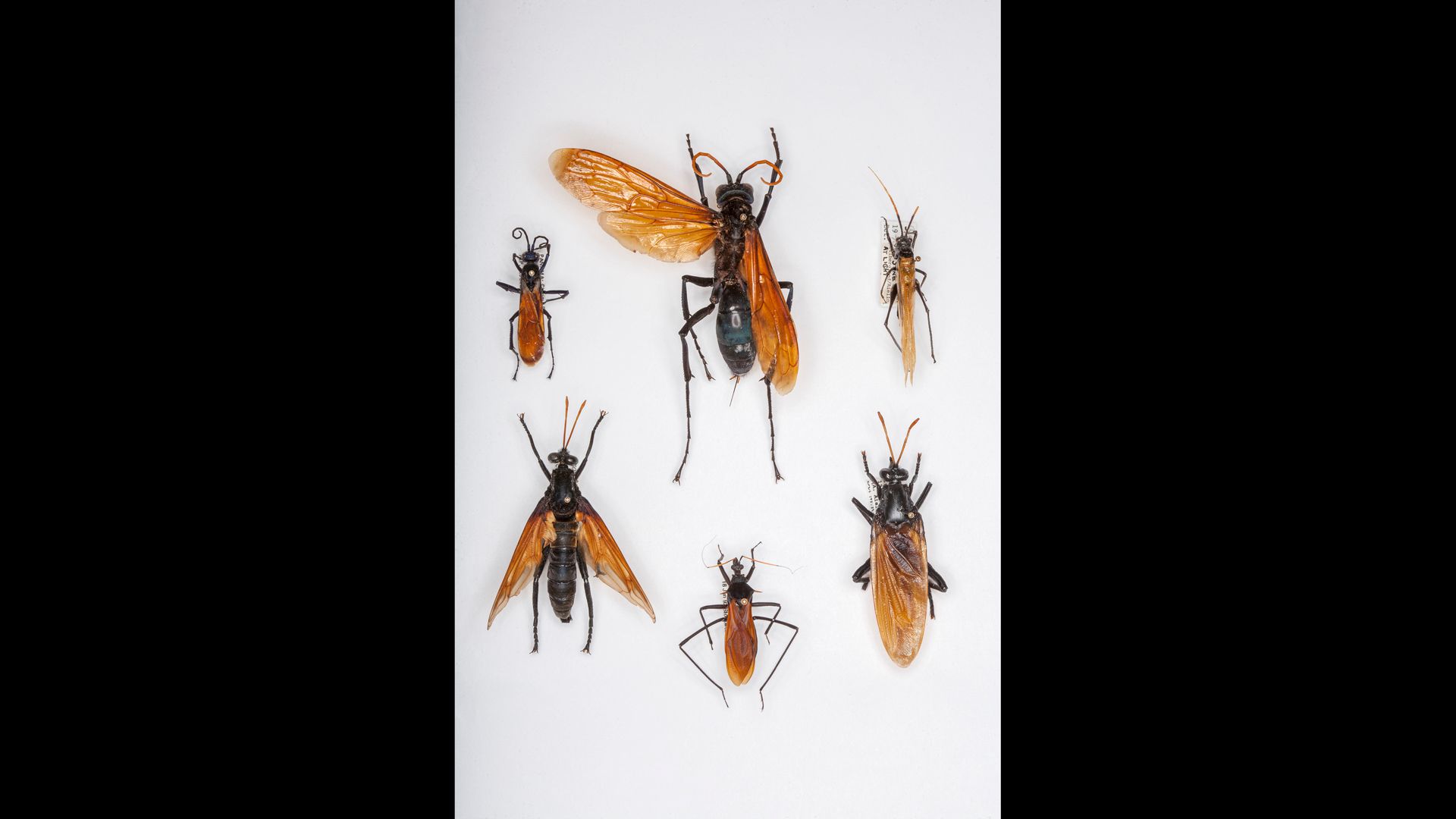 x_MG_1001 16-9-2.jpg