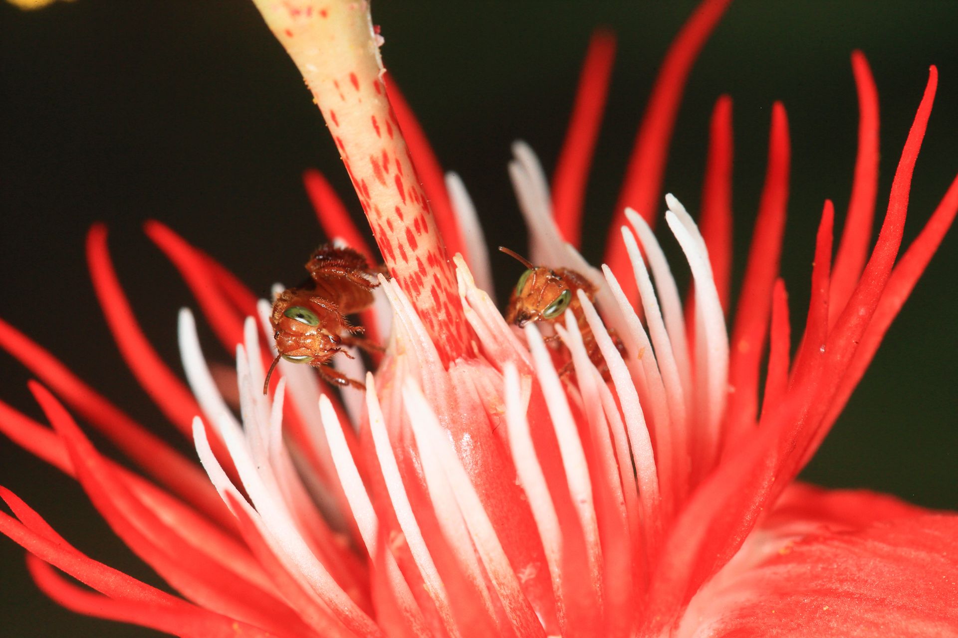 170-_ZI_4574 copy.jpg