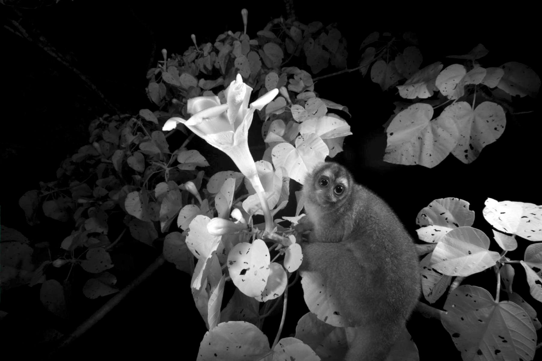 1mm7777_100107_10247