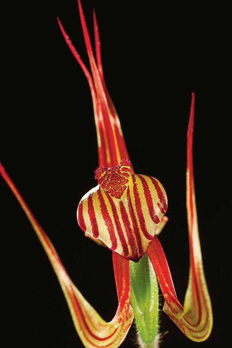 1mm7607_080922_30339r2