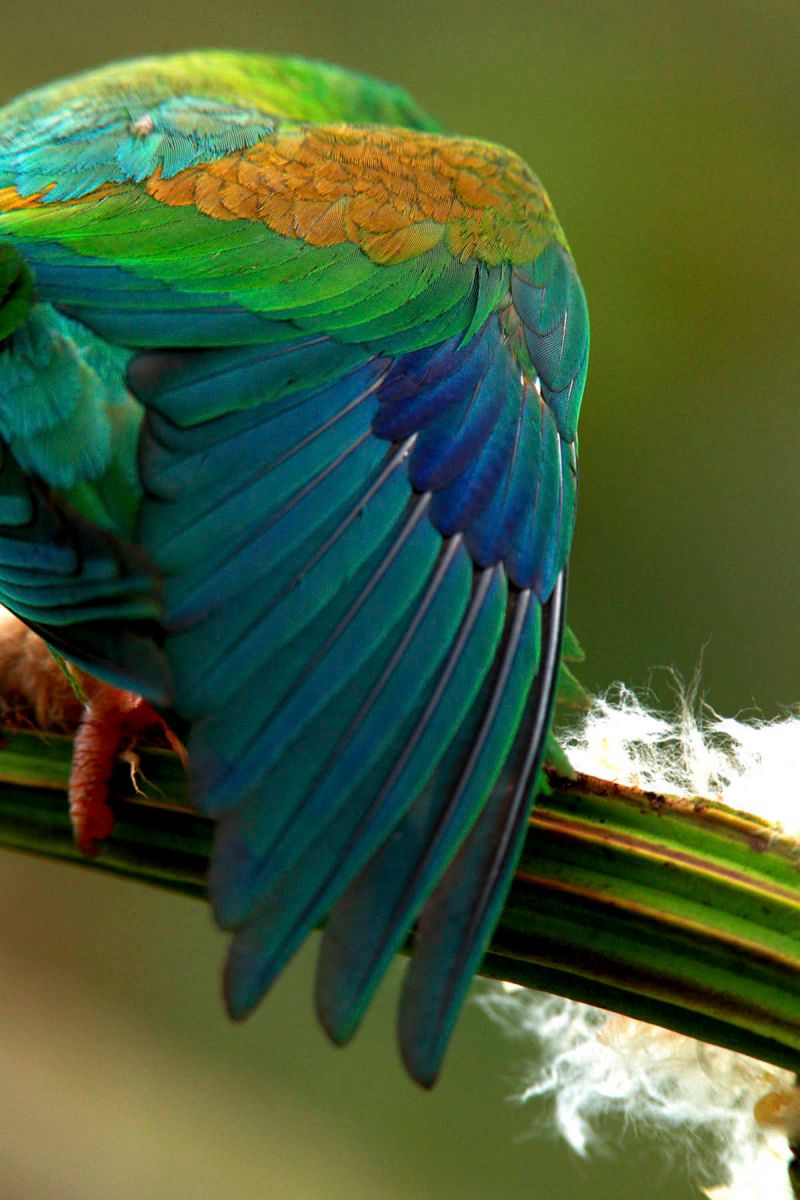 1r30mm7777_100310_39453