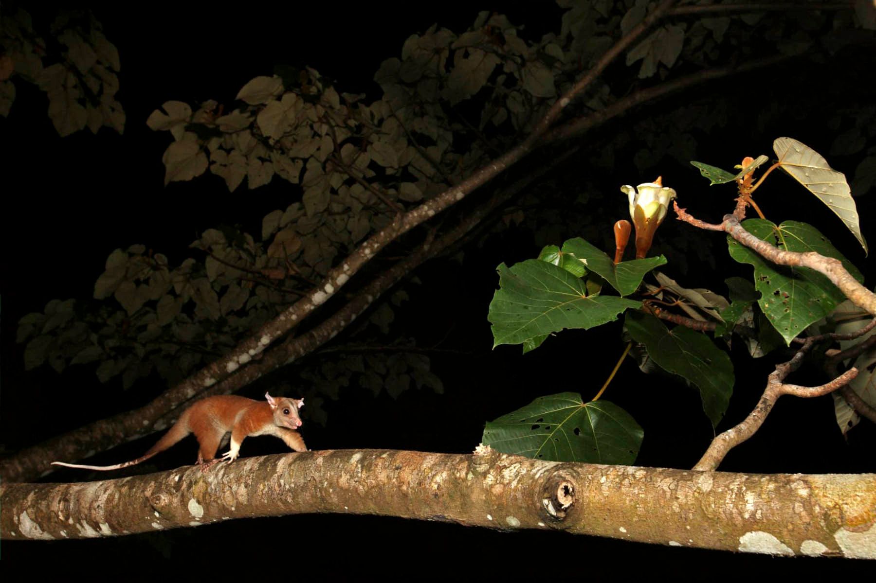 1mm7777_091217_05474