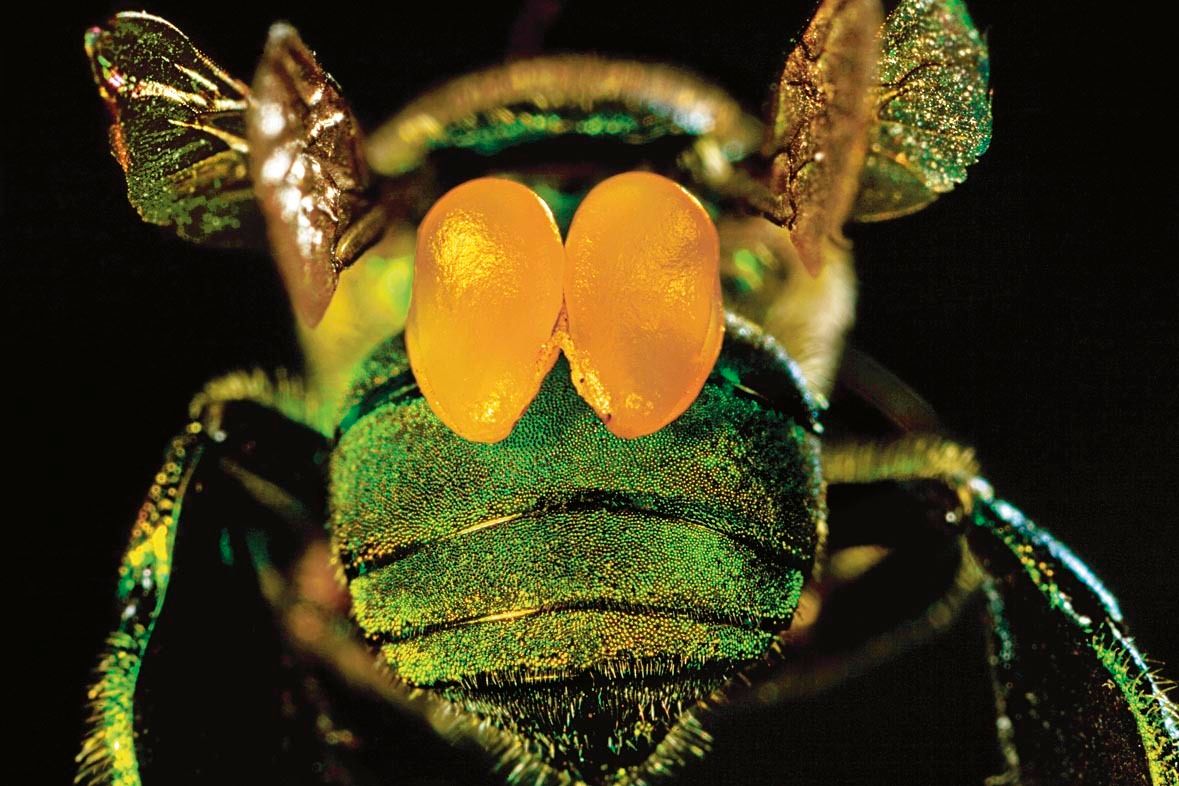 1mm7607_080513_16747r3