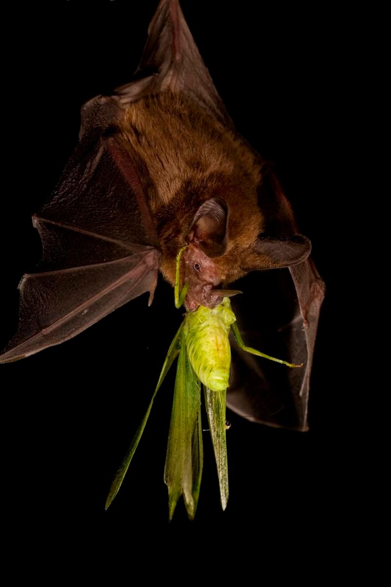 1r11_mm7355_060401_7786