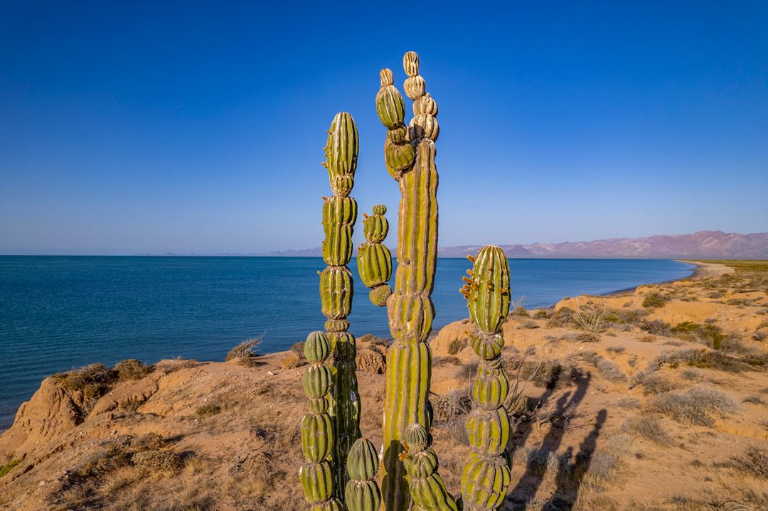 MM9826 _220425_003557-3-7.jpg