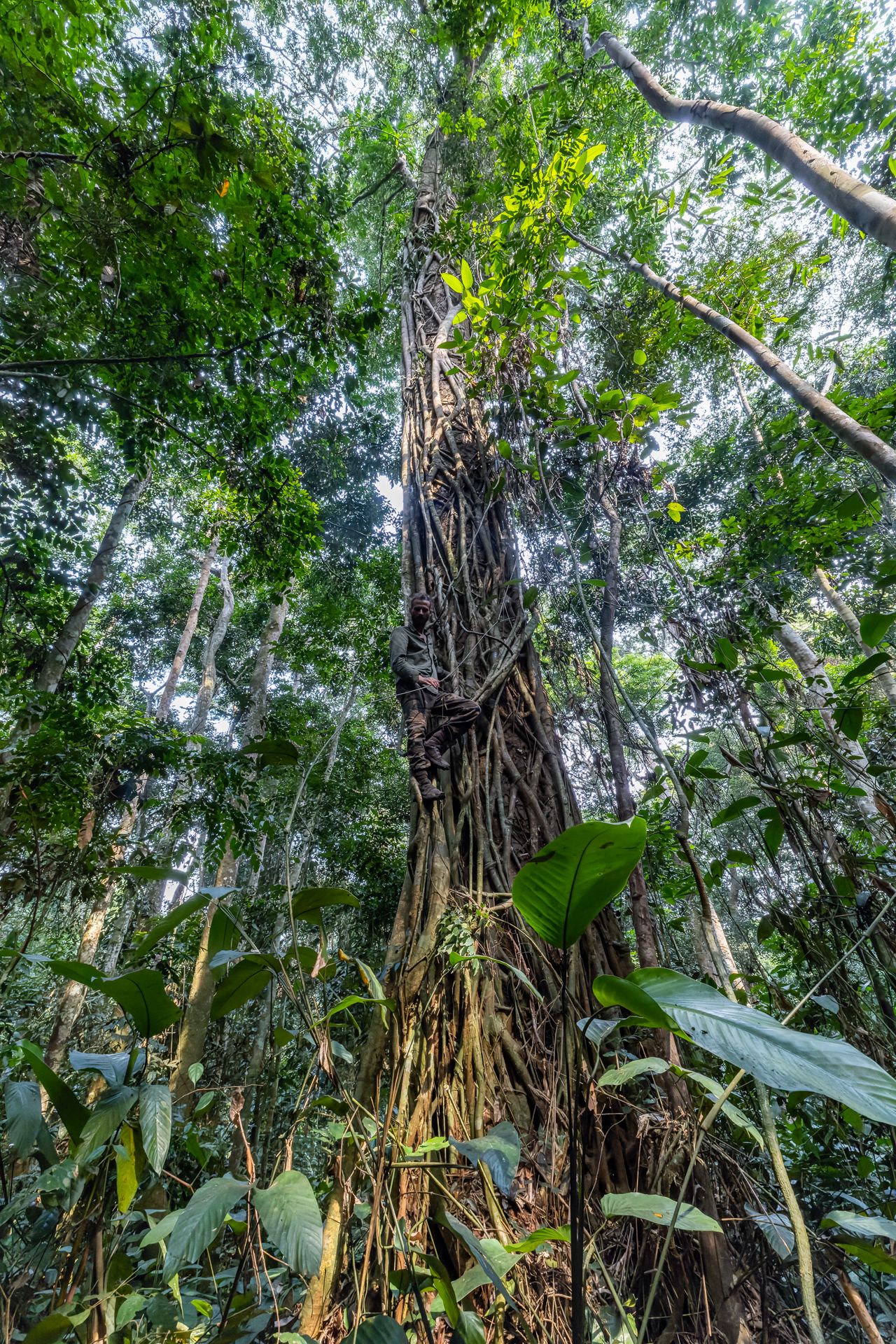 0B6A9059 2-CR3_DxO_DeepPRIME-2.jpg