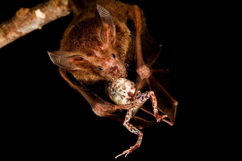 1r14_mm7355_060825_10398