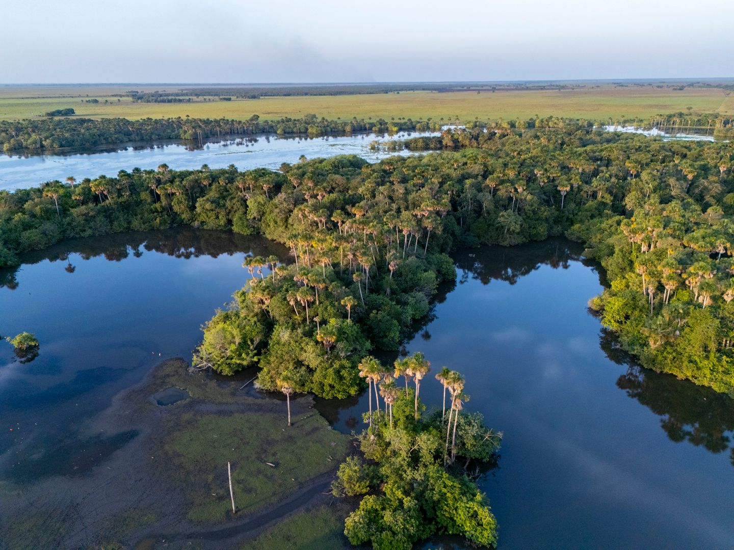 DJI_20250108171733_0235_D-131-148.jpg