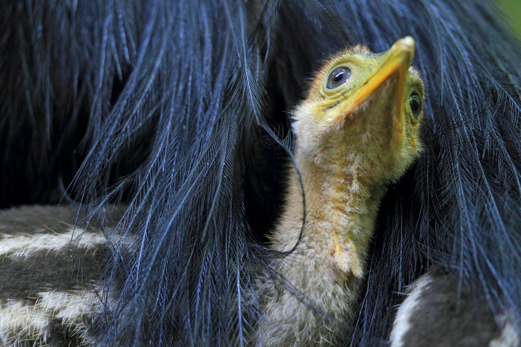 1mm7817_121120_74169