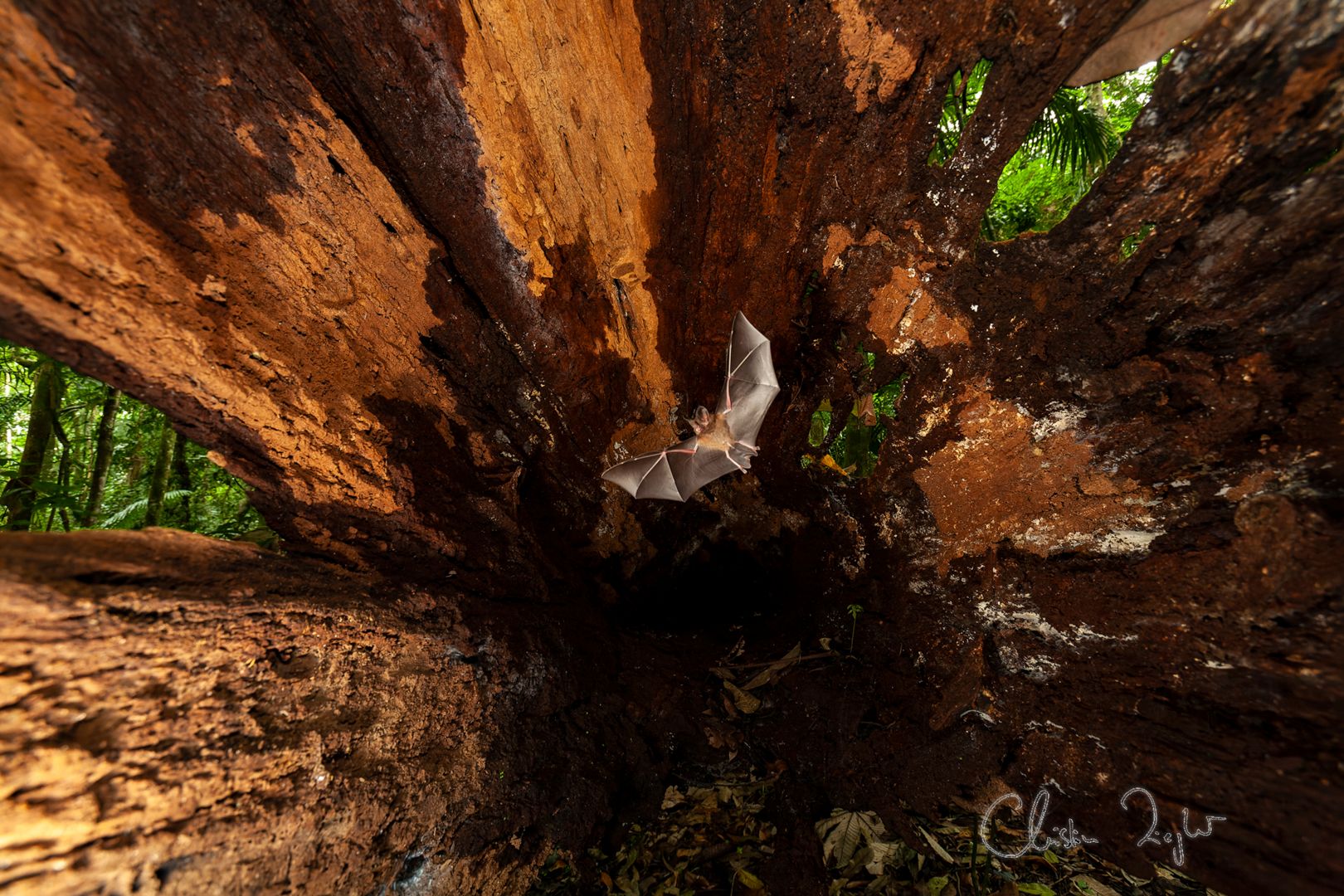 154_MM7355_060624_17215-CR2_DxO_DeepPRIM E_II final-2.jpg