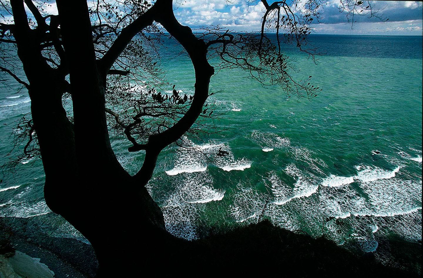 1r30_waves_through_beech