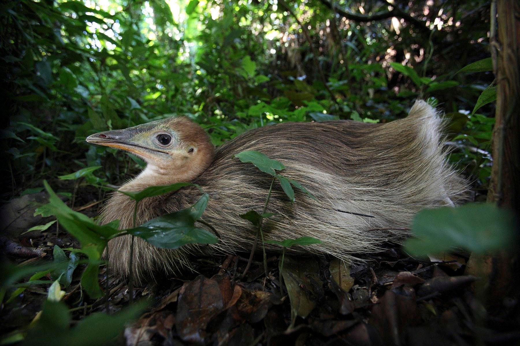 1r41_mm7817_120603_13139