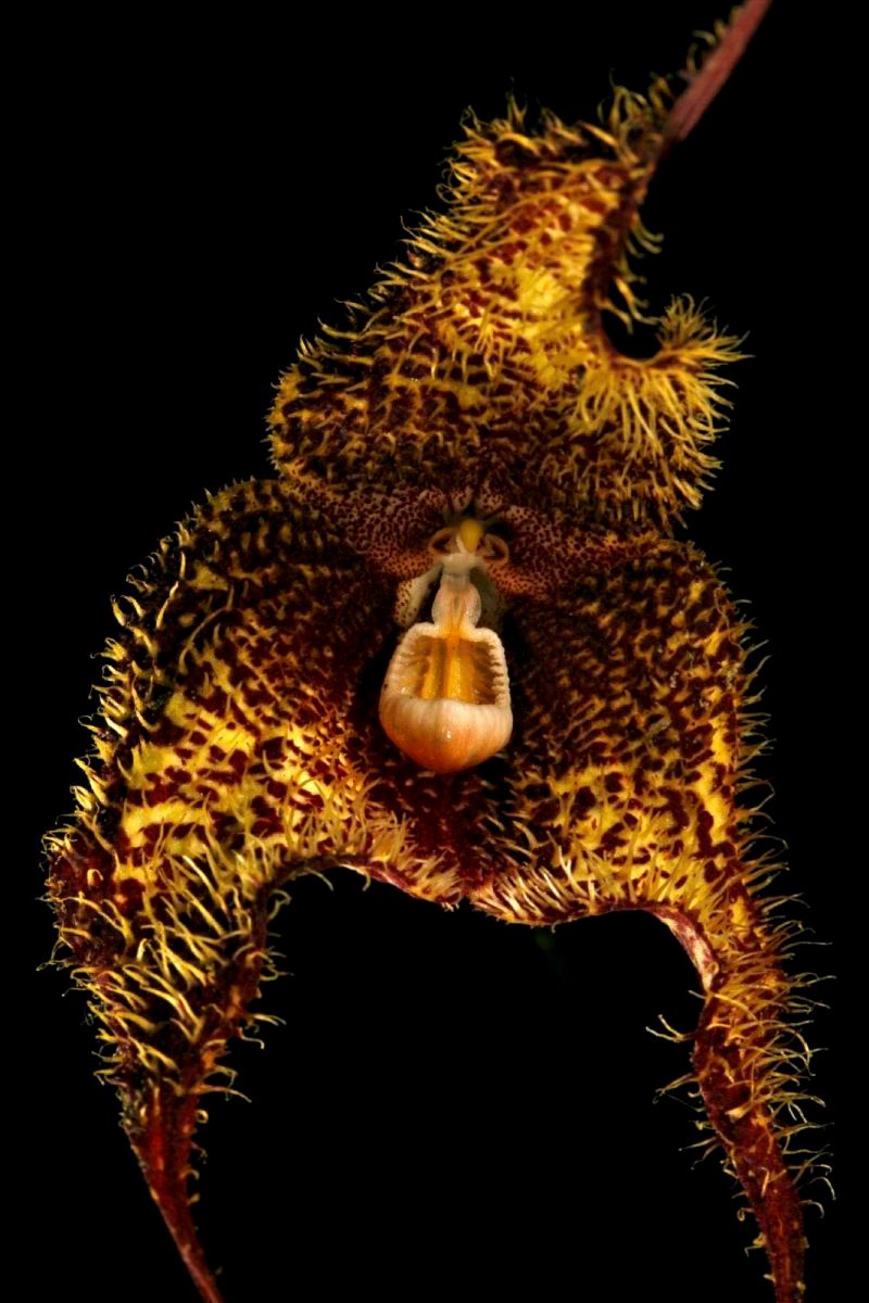 1r126_139_mm7607_080709_18565