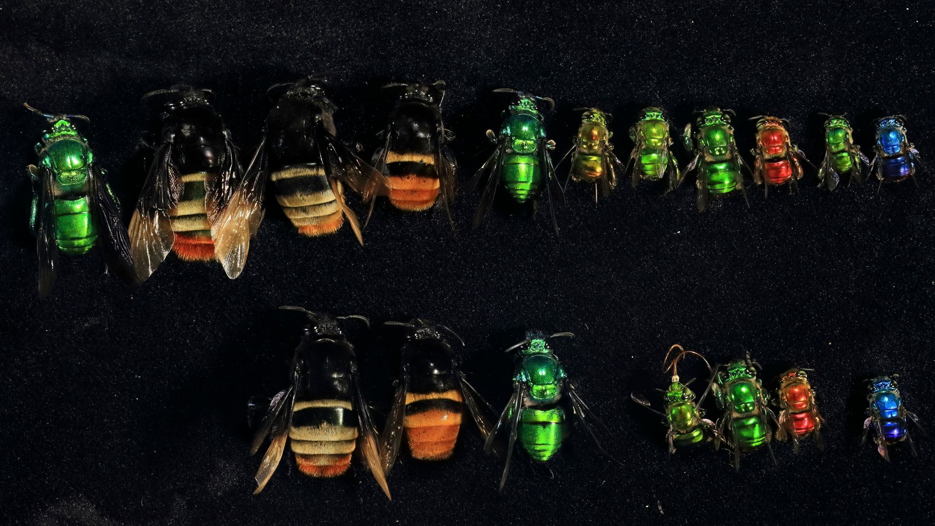 259__ZI_7344crop-topaz-denoise 16-9.jpg