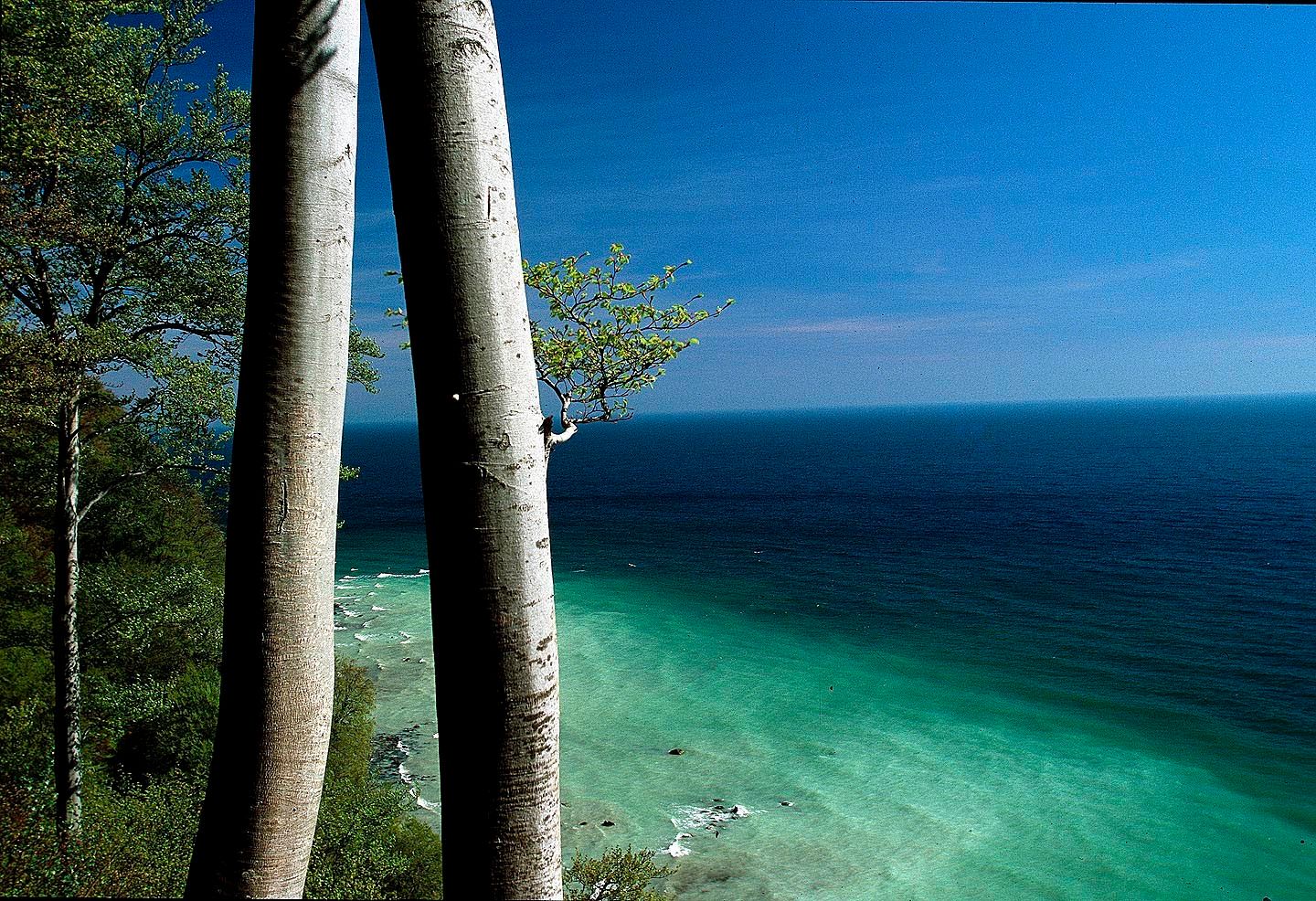 109_kolliker_twin_beech