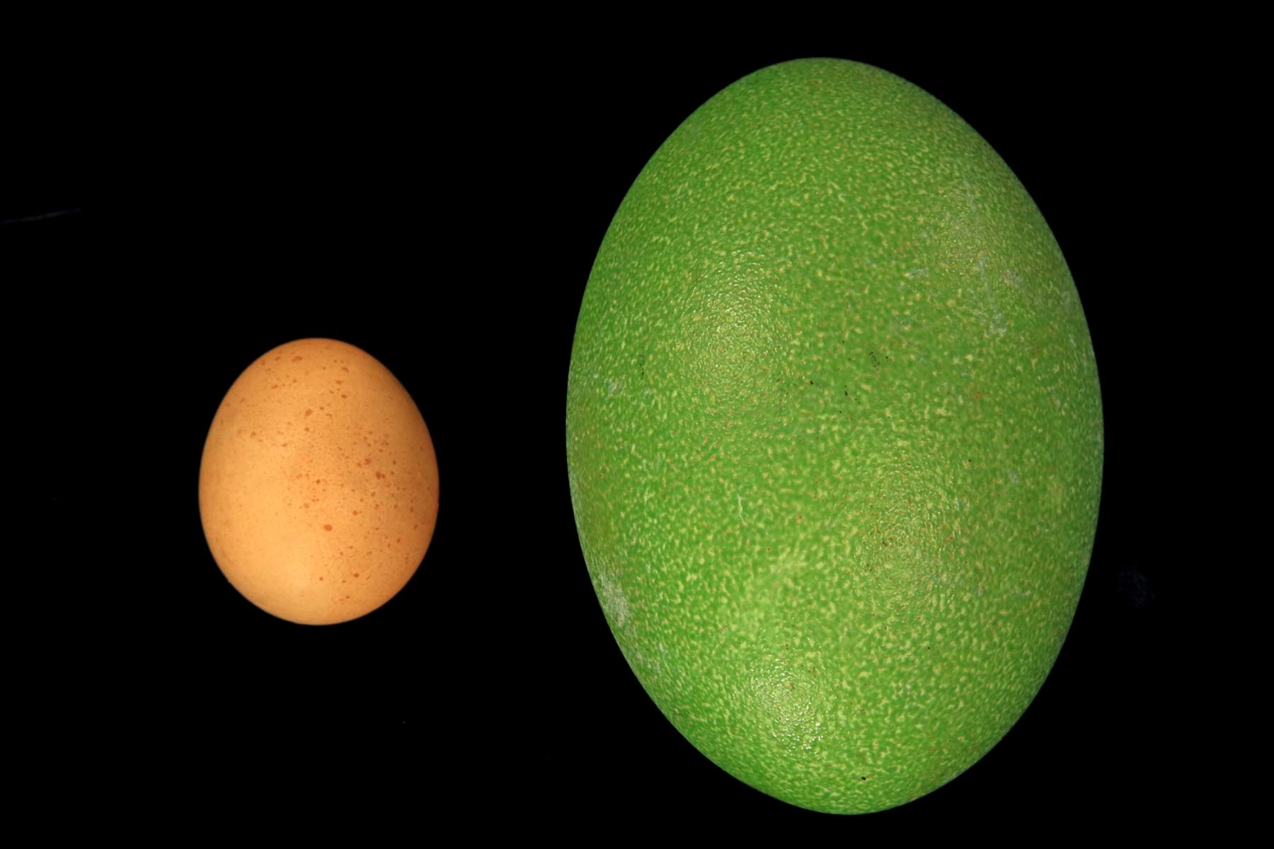 1mm7817_120904_26659