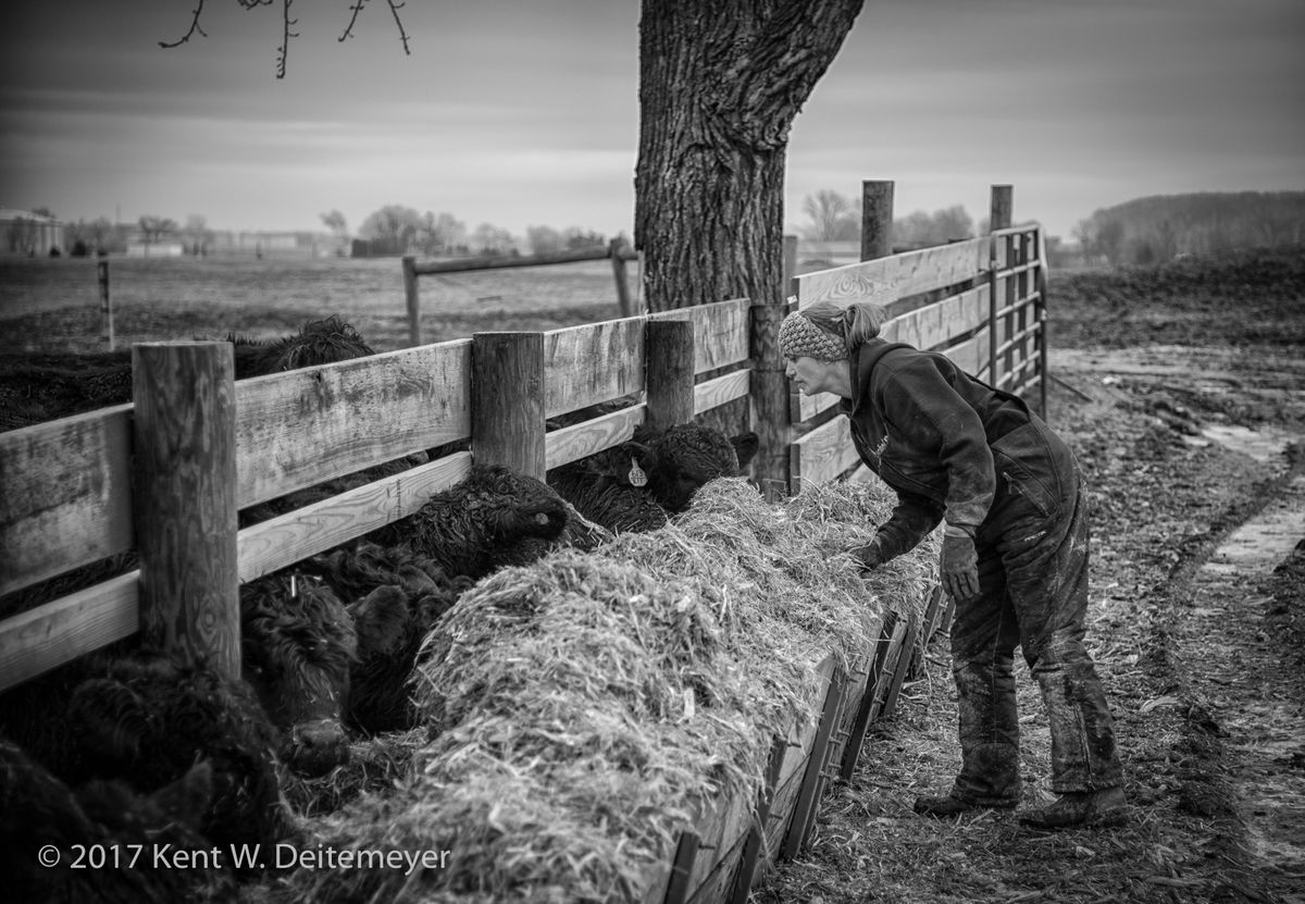 Cathy checking the feed mix in the feeding trough.