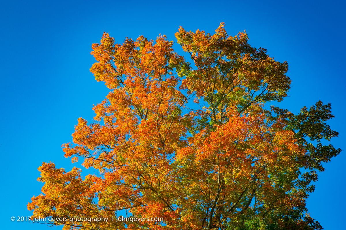 New England 2016-252.jpg