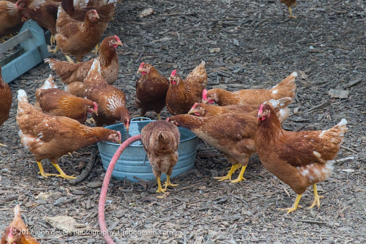 New England 2016-293.jpg