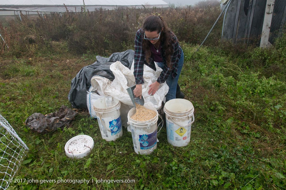 New England 2016-285.jpg