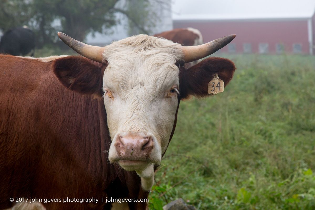 New England 2016-362.jpg