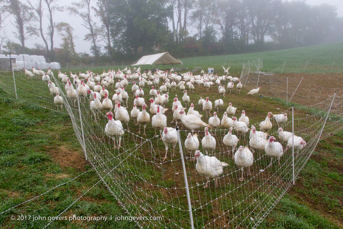 New England 2016-334.jpg