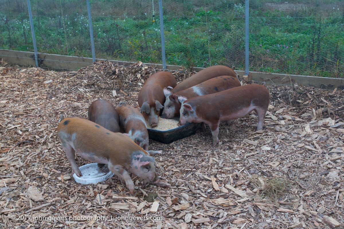 New England 2016-269.jpg