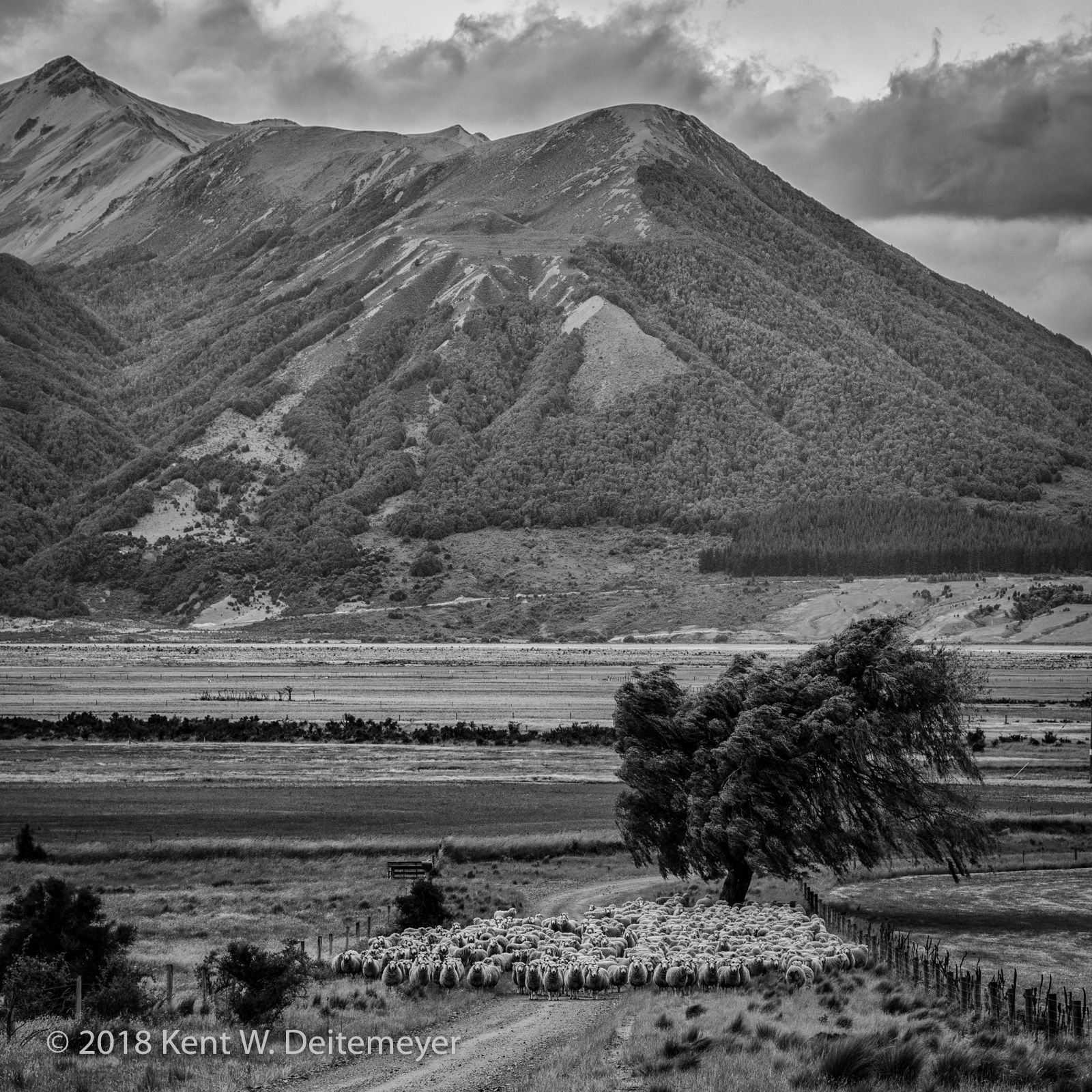 Glenariffe_B&W_19_Dec_2017_(2_of_24).jpg