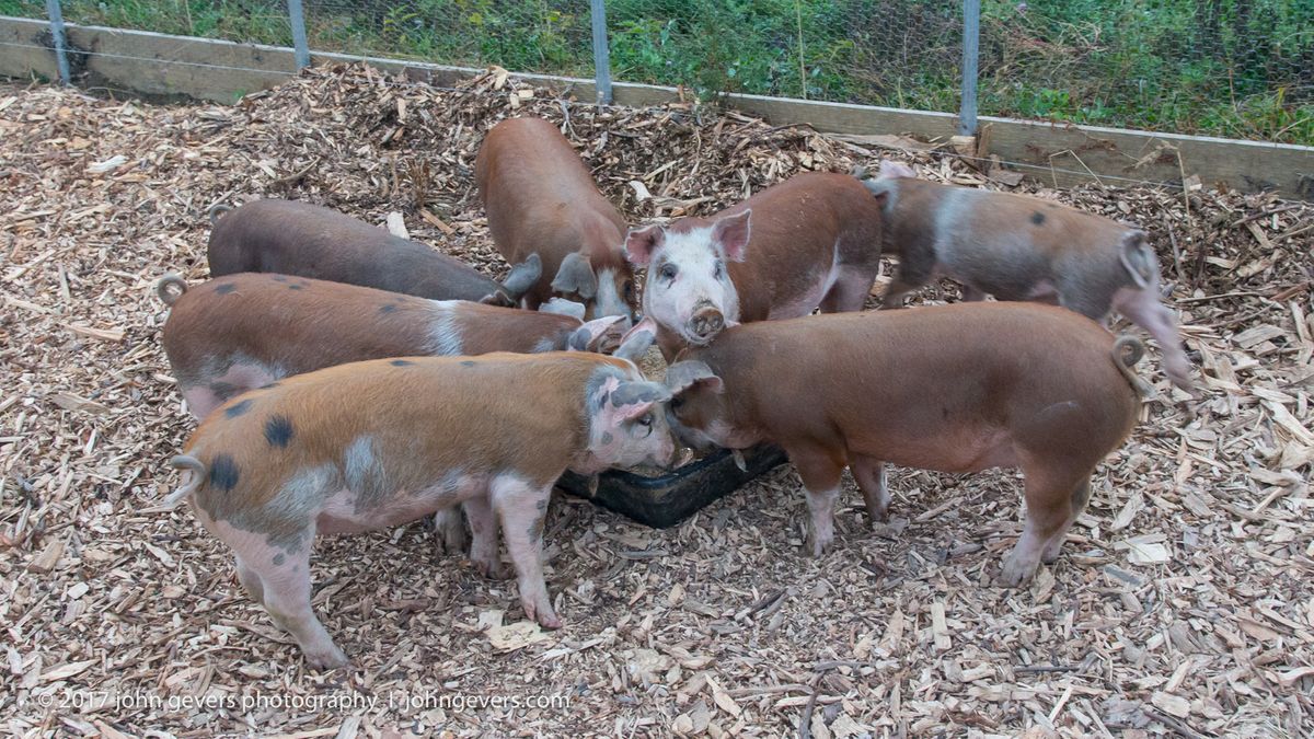 New England 2016-274.jpg