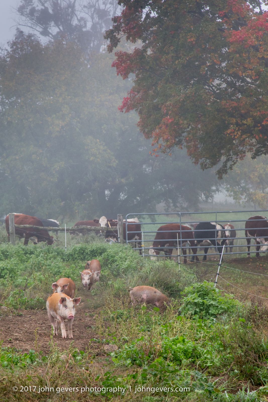 New England 2016-356.jpg