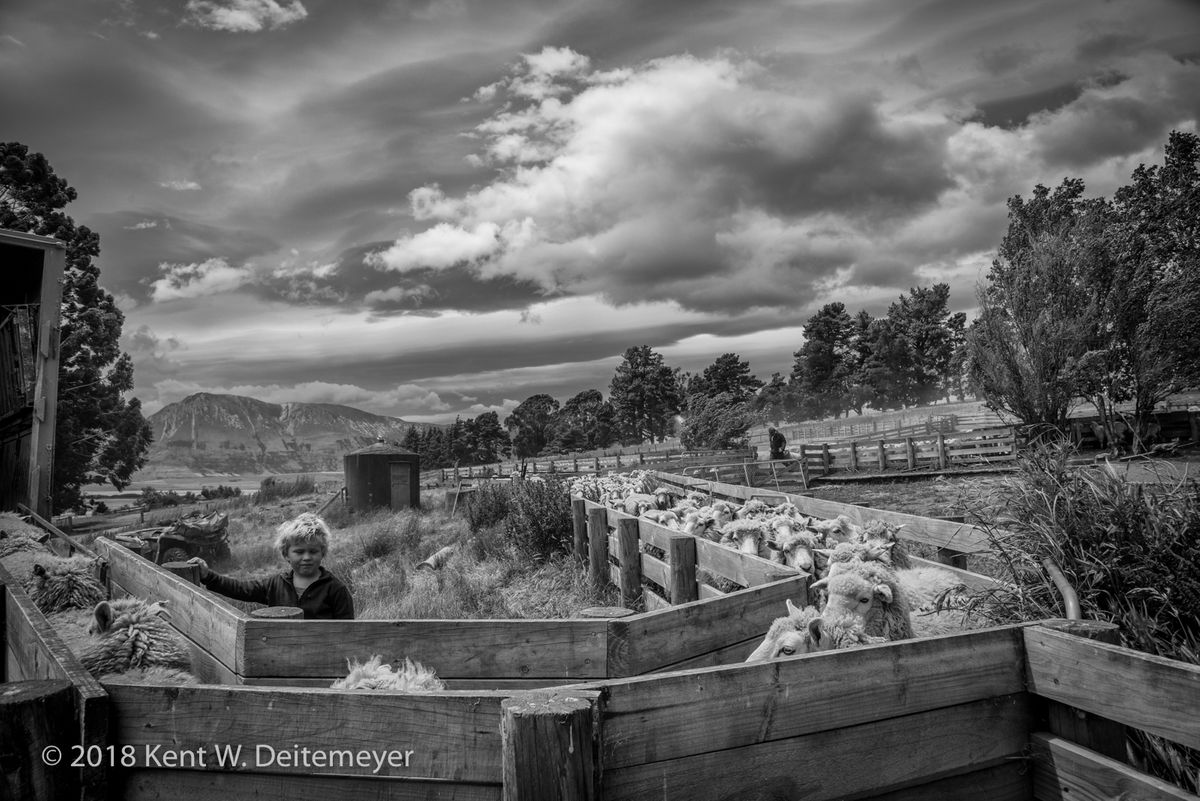 Glenariffe_B&W_19_Dec_2017_(19_of_24).jpg