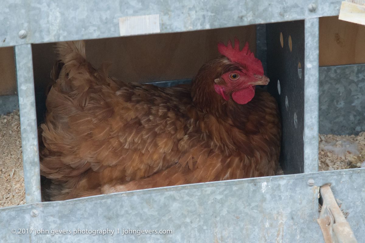 New England 2016-301.jpg