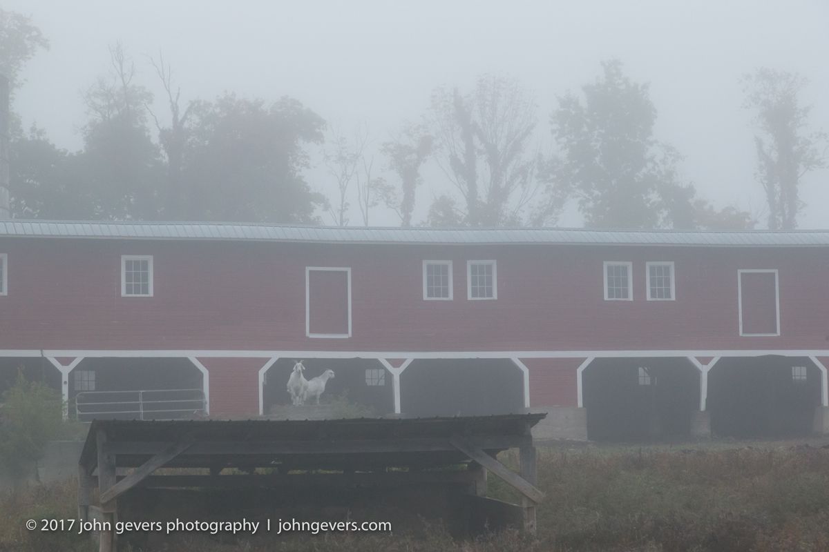 New England 2016-280.jpg