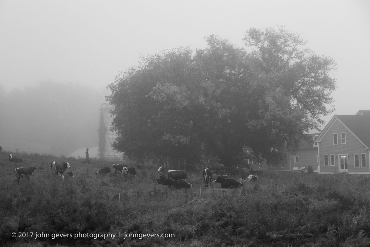 New England 2016-257-Edit-2.jpg