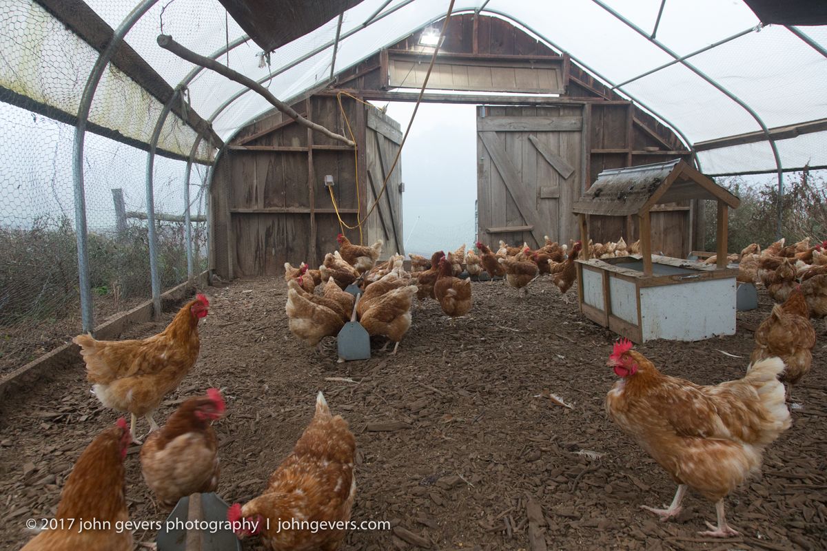 New England 2016-308.jpg