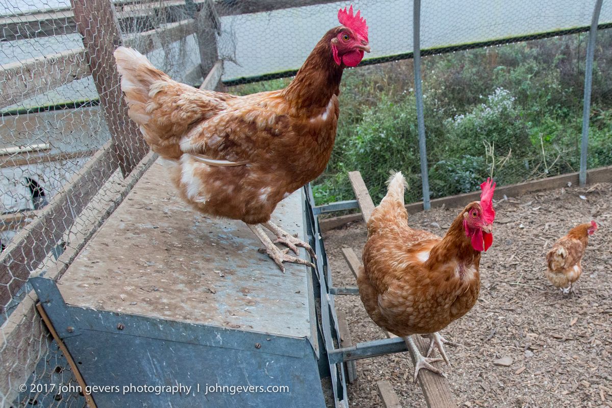 New England 2016-294.jpg