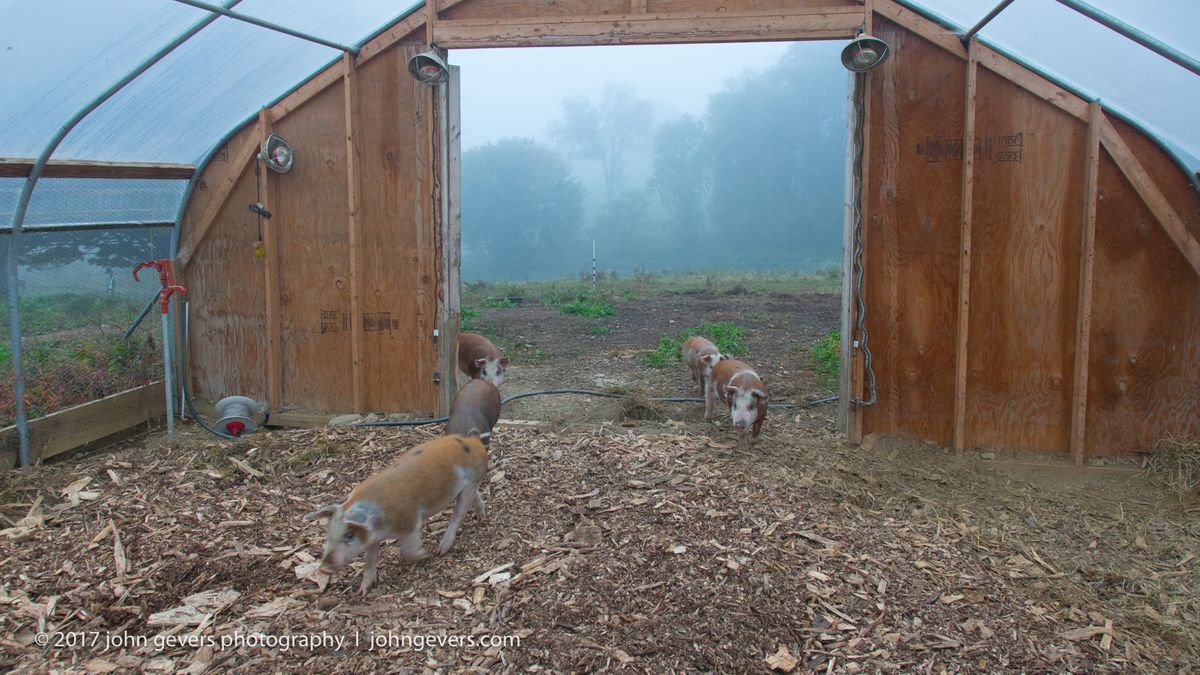 New England 2016-267.jpg