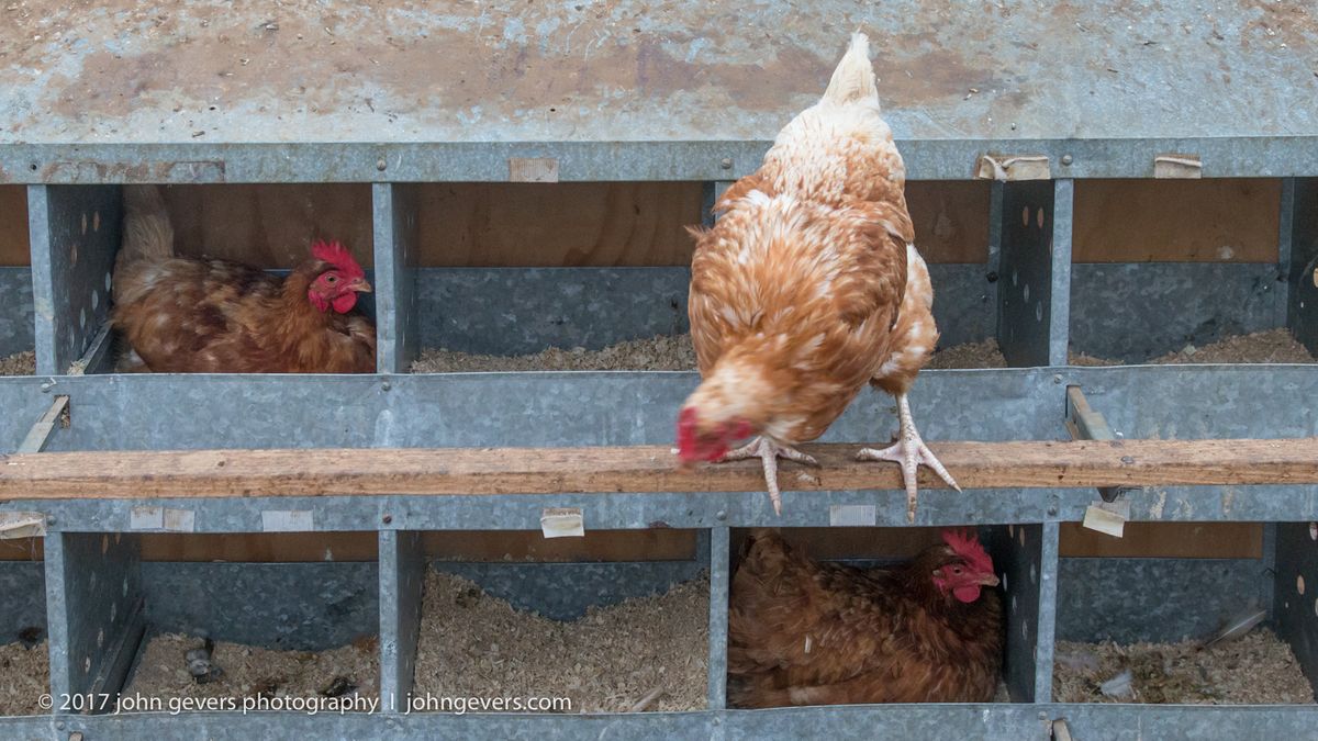 New England 2016-300.jpg