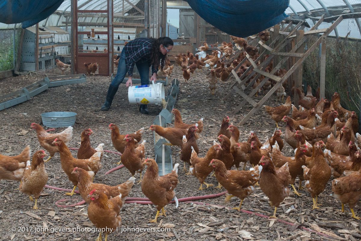 New England 2016-289.jpg