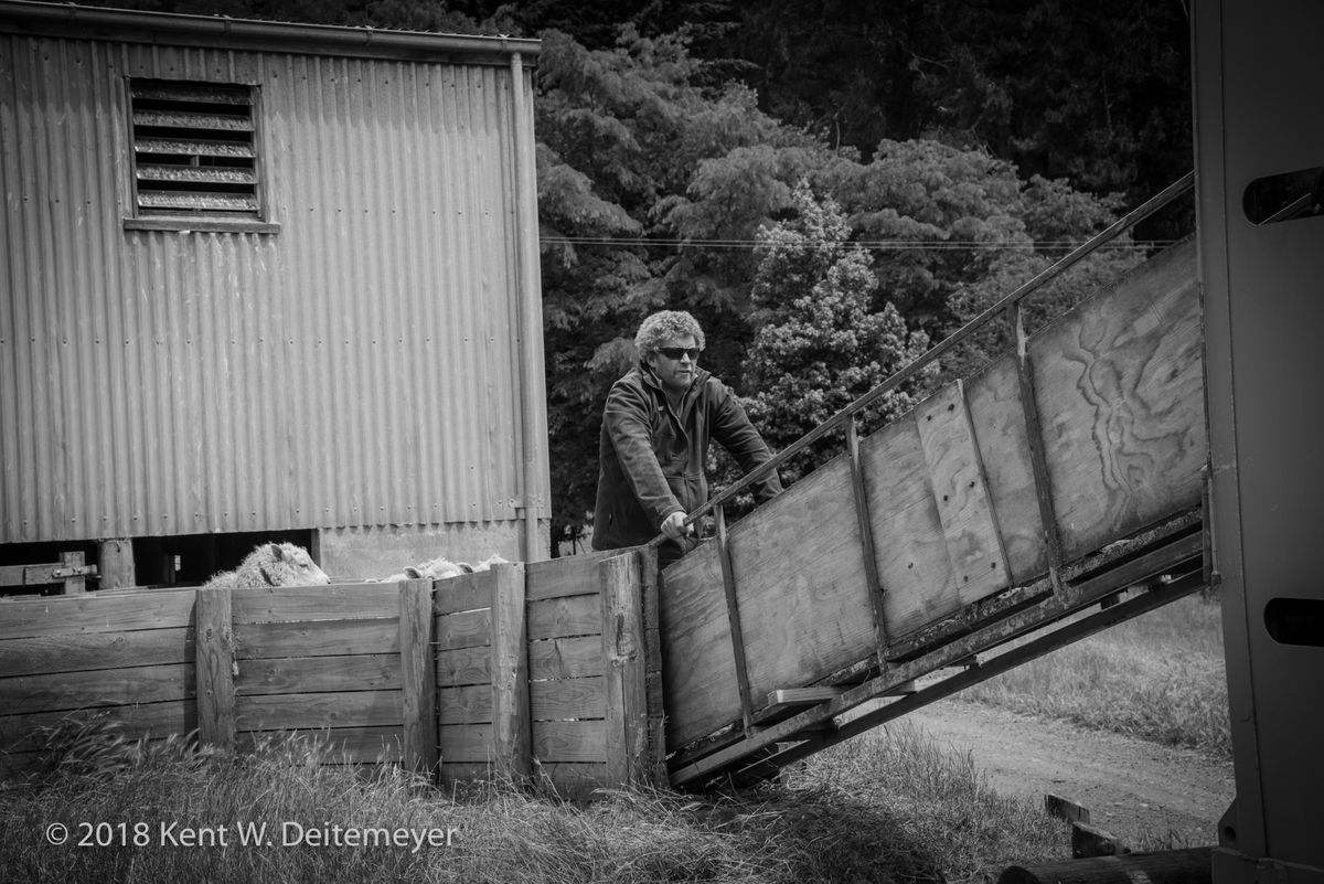 Glenariffe_B&W_19_Dec_2017_(21_of_24).jpg
