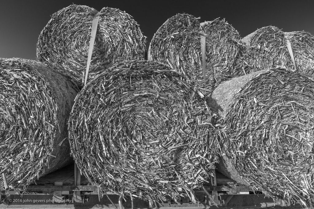 Wood Farms New Year's Day Farm Breakfast 2017