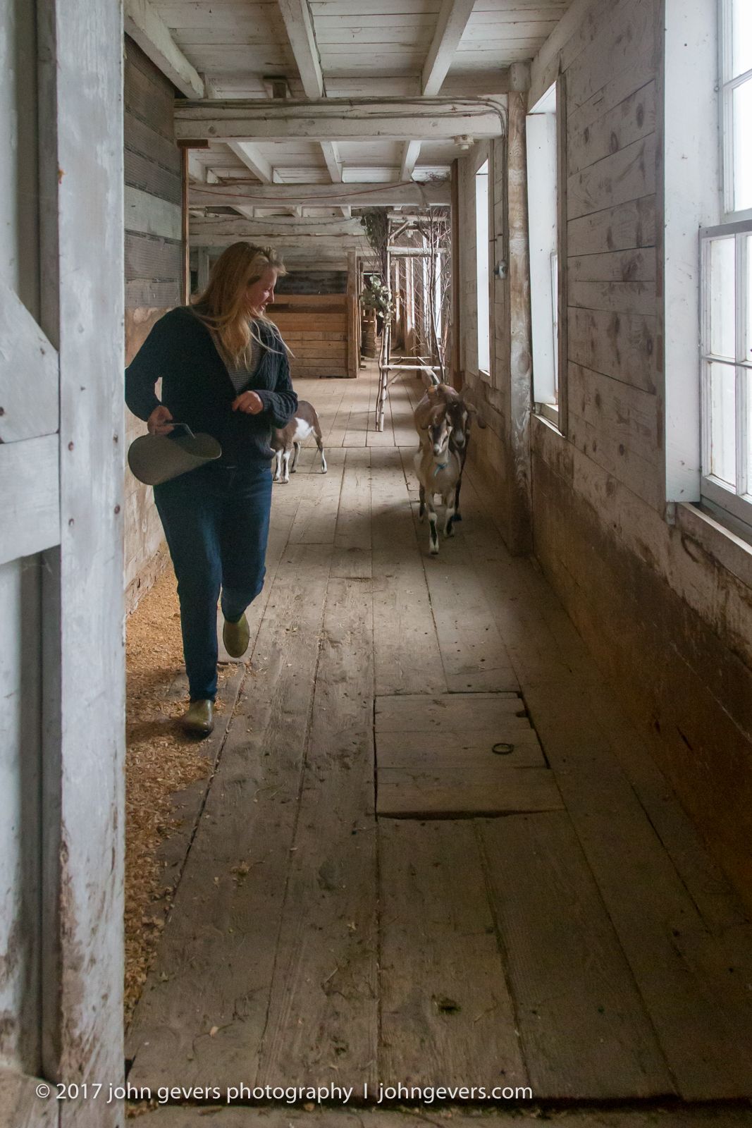 New England 2016-392.jpg