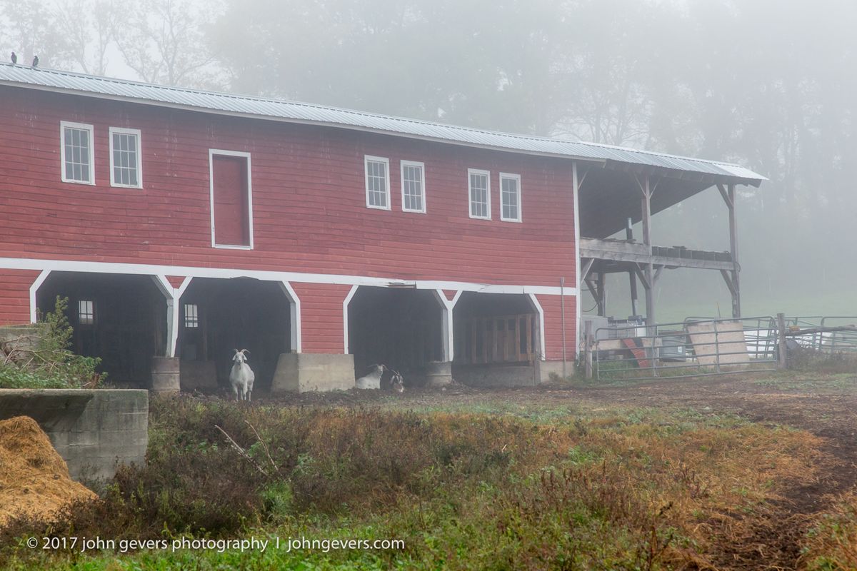 New England 2016-375.jpg