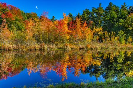 Autumn • Walpole, New Hampshire