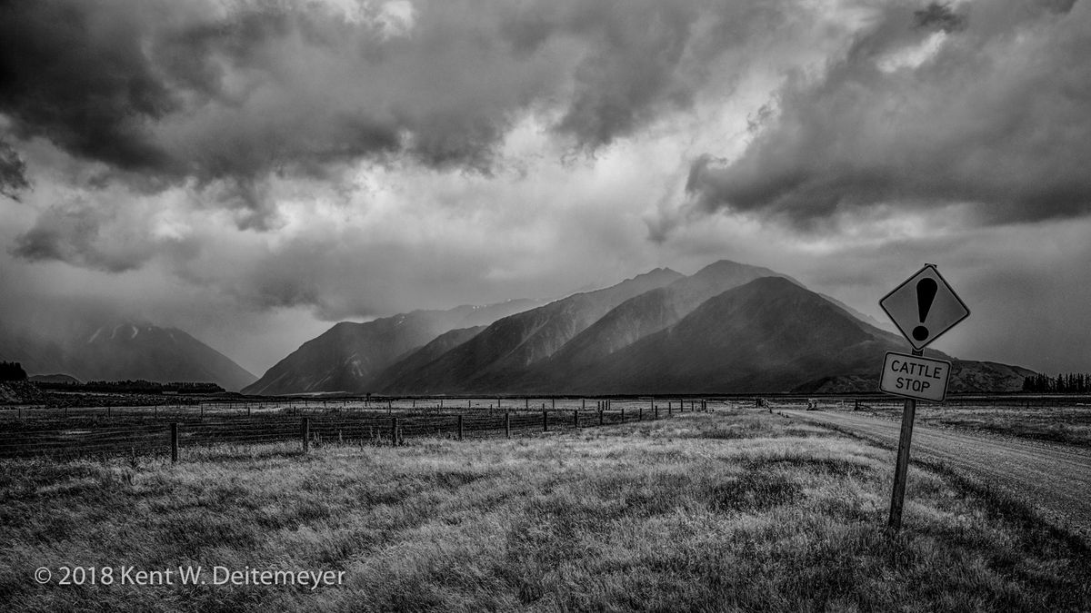 Glenariffe_B&W_19_Dec_2017_(24_of_24).jpg