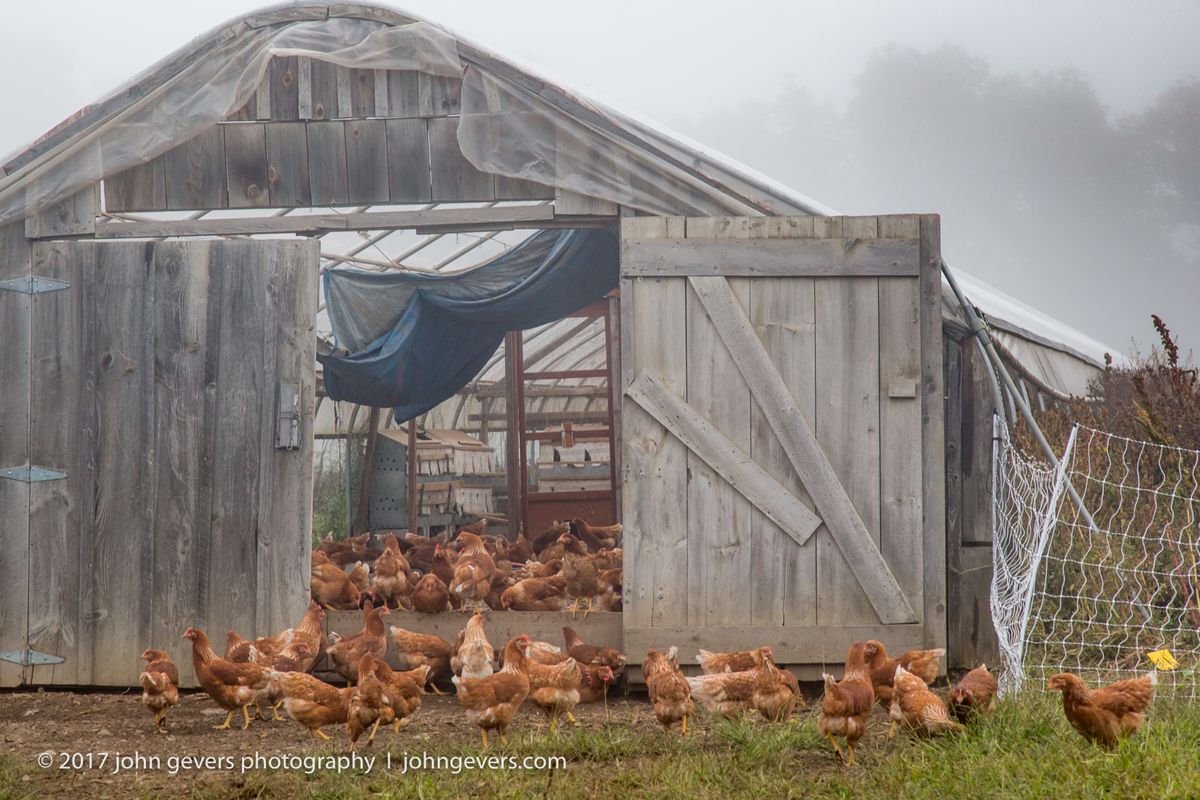 New England 2016-373.jpg