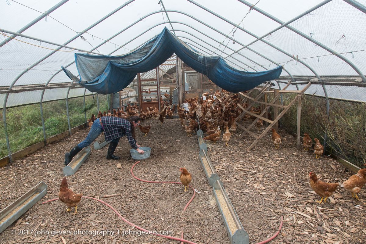 New England 2016-292.jpg